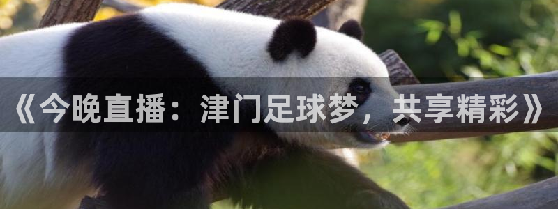 《今晚直播：津门足球梦，共享精彩》