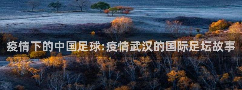 疫情下的中国足球:疫情武汉的国际足坛故事