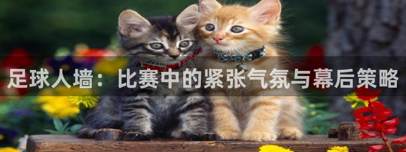  足球人墙：比赛中的紧张气氛与幕后策略