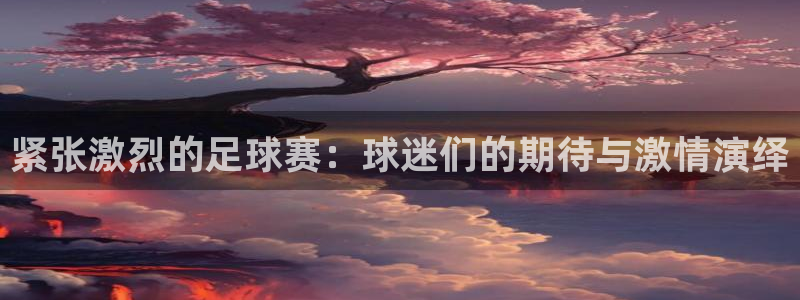 紧张激烈的足球赛：球迷们的期待与激情