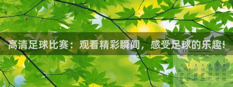 高清足球比赛：观看精彩瞬间，感受足球