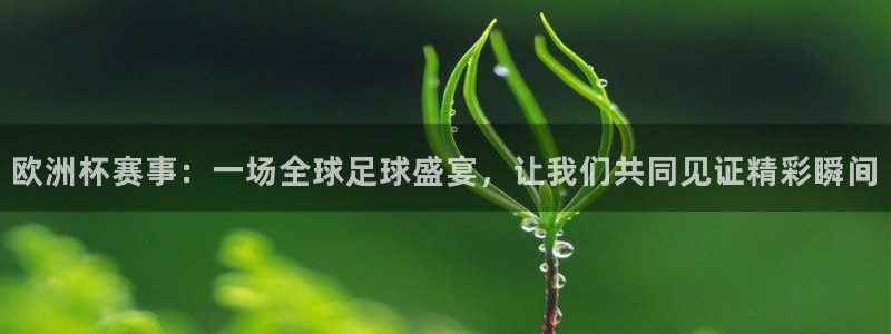 欧洲杯赛事：一场全球足球盛宴，让我们