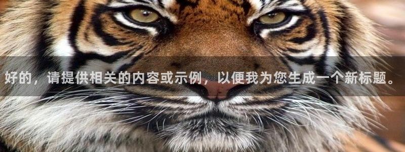 好的，请提供相关的内容或示例，以便我为您生成一个新标题。