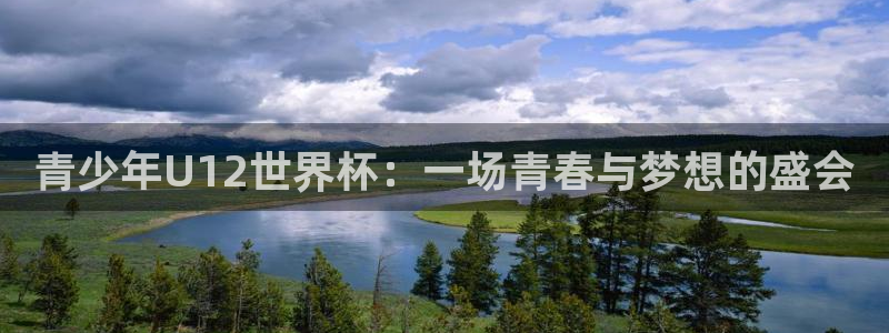 青少年U12世界杯：一场青春与梦想的盛会