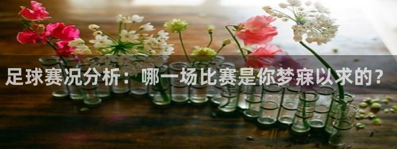足球赛况分析：哪一场比赛是你梦寐以求