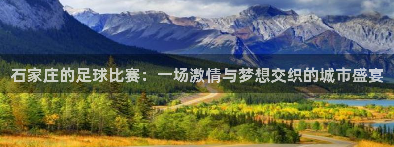 石家庄的足球比赛：一场激情与梦想交织
