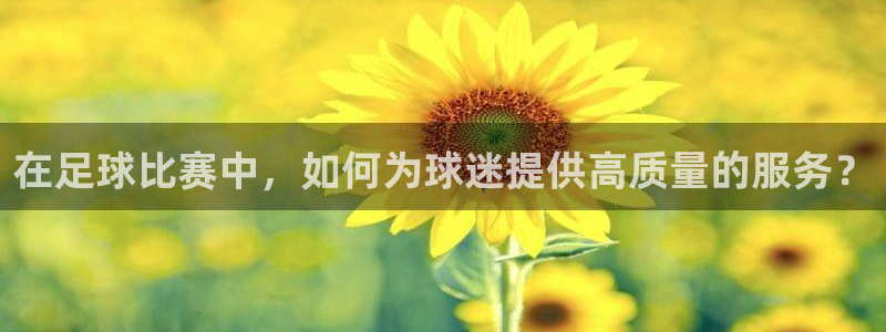 在足球比赛中，如何为球迷提供高质量的