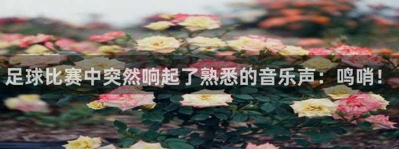 足球比赛中突然响起了熟悉的音乐声：鸣