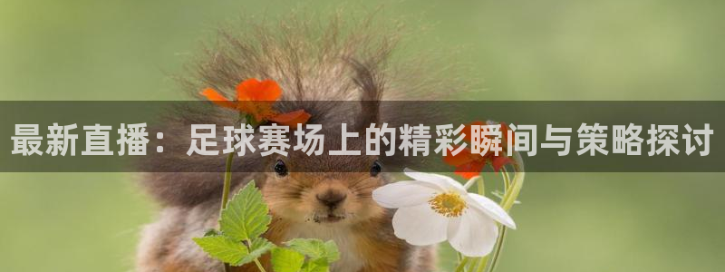 最新直播：足球赛场上的精彩瞬间与策略