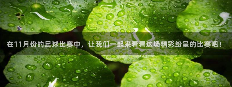在11月份的足球比赛中，让我们一起来