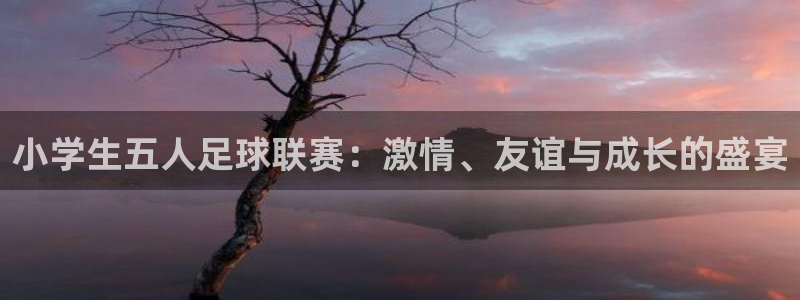 小学生五人足球联赛：激情、友谊与成长