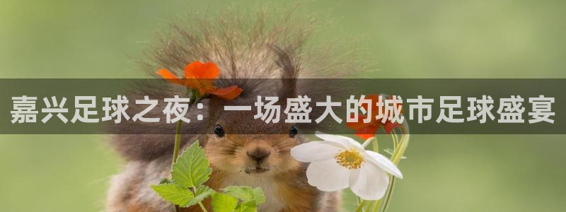 嘉兴足球之夜：一场盛大的城市足球盛宴