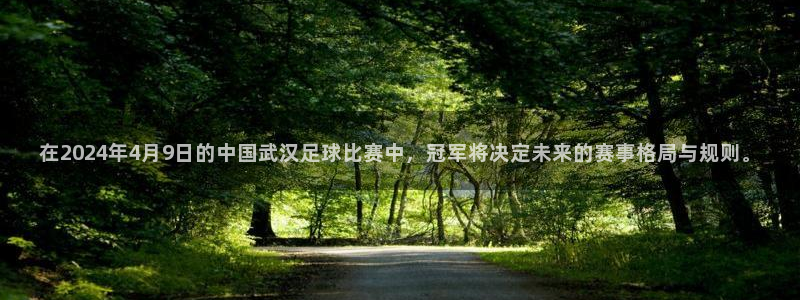 在2024年4月9日的中国武汉足球比